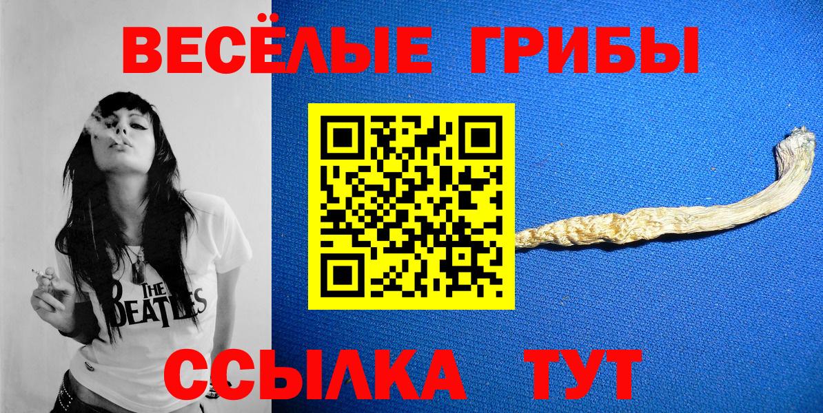 Псилоцибиновые грибы Cubensis Ноябрьск